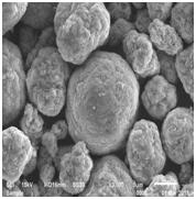 星空官方網頁版