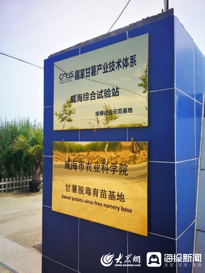 信息化賦能扶貧攻堅，激活鄉村振興新引擎