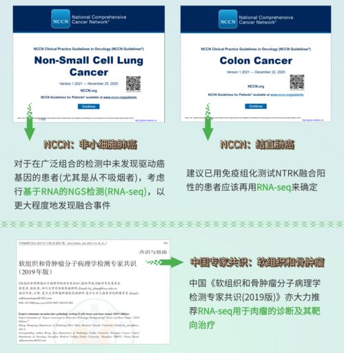 融二為一，精準(zhǔn)抗癌 燃石醫(yī)學(xué)DNA+RNA雙檢測(cè)賦能實(shí)體瘤患者——論文解讀肝癌血漿microRNA標(biāo)志物檢測(cè)報(bào)告系統(tǒng)