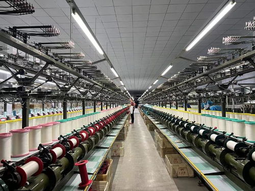 用好 數(shù)字化出?？?山東周村絲綢通過阿里國際站出海全球50多國