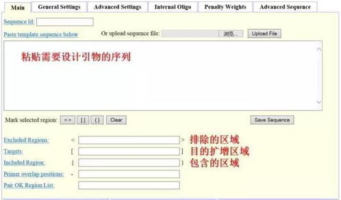 設計引物怕踩坑？這3款在線軟件輕松掃雷——淄博軟件設計指南